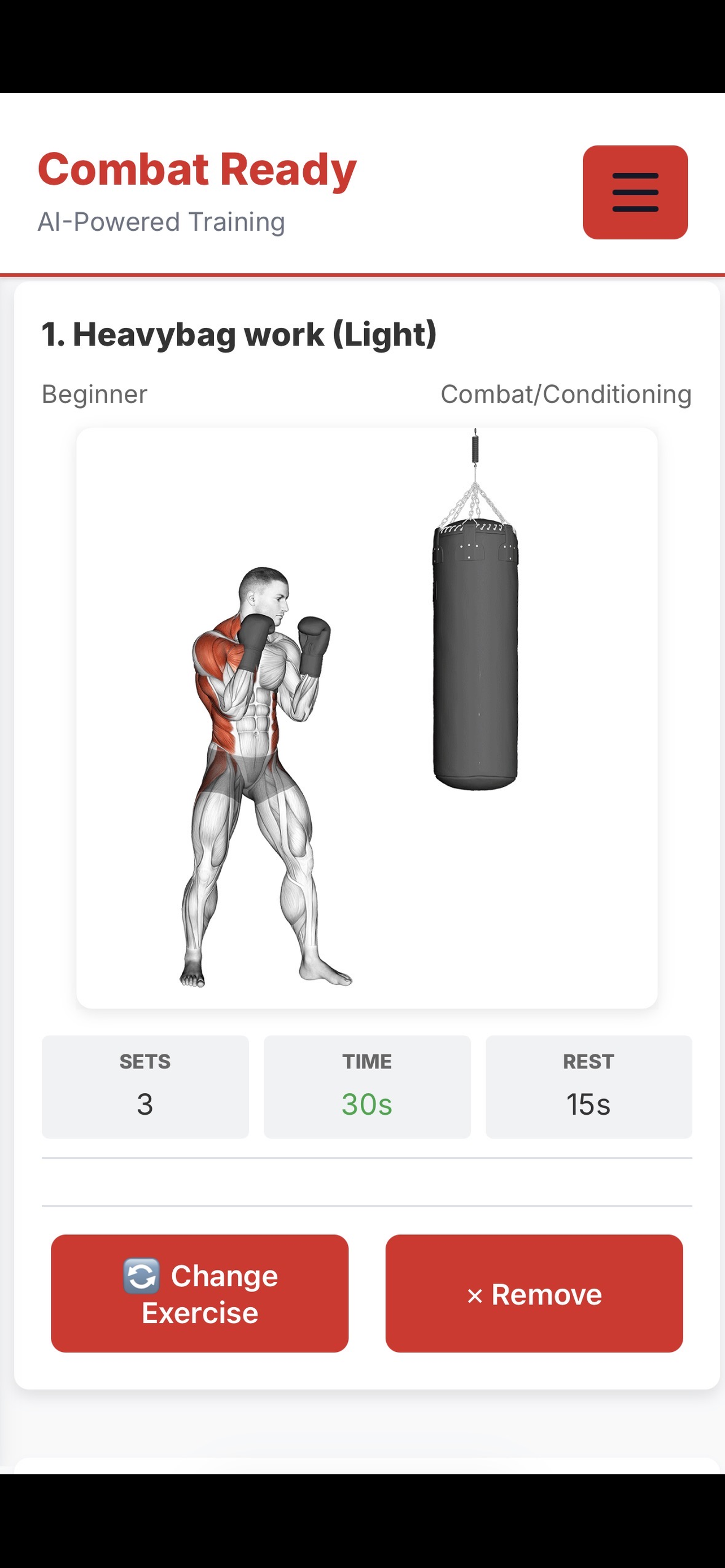 Heavy Bag Training